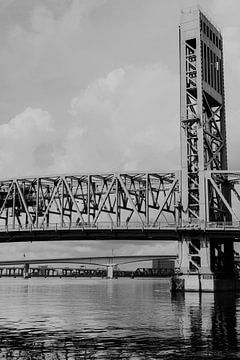 John T. Alsop Jr. Bridge Jacksonville Florida van Speels Fotografie