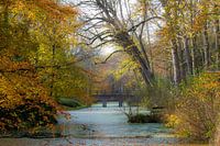 Autumn in Bergen