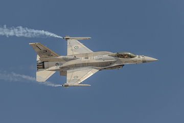 Le Lockheed Martin F-16E de l'UAEAF en action pendant le BIAS 2016. sur Jaap van den Berg