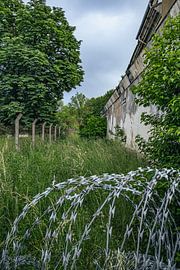 Nature and barbed wire - the reconquest of an abandoned site by Infinite Decay