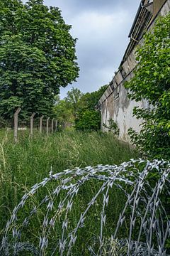 Natuur en prikkeldraad - de herovering van een verlaten terrein van Infinite Decay