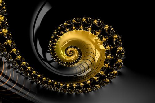 Fraktal Muschel Schwarz Gold von Markus Wegner