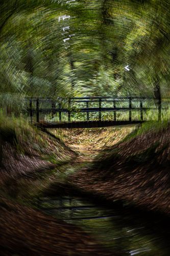 Effect photo bridge Crown Estates het Loo