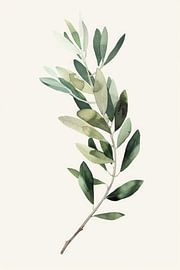 Tender olive branch by Poster Art Shop
