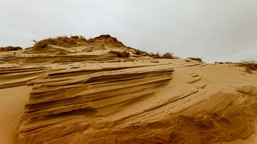 Série Dune II sur Insolitus Fotografie