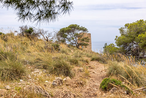 Wandelpad naar een oude wachttoren bij Cerro Gordo