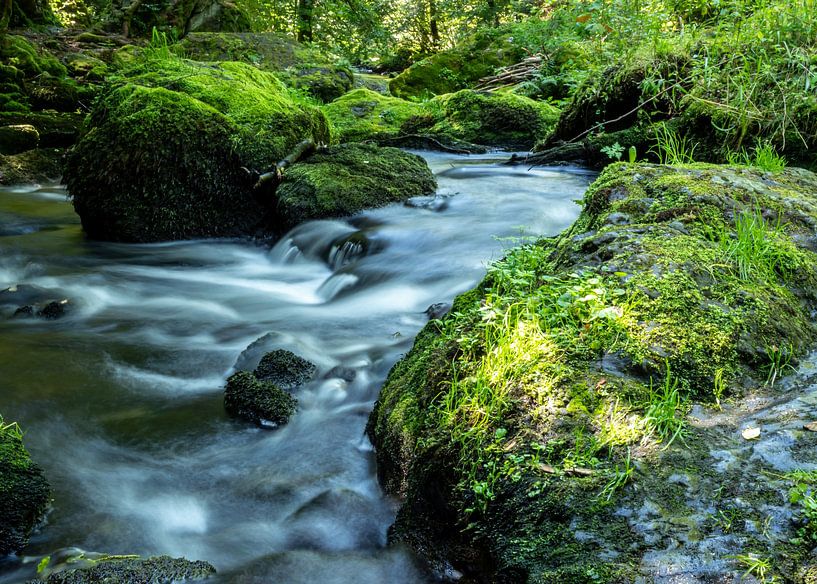 Fluss Trieb in einem Naturpark im Vogtland von Animaflora PicsStock