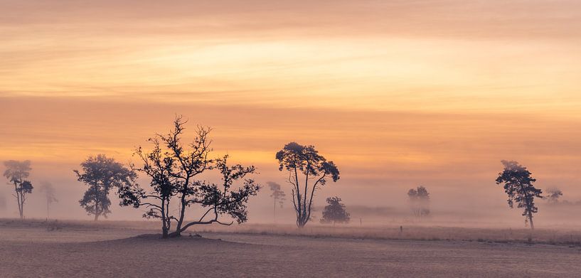 Zonsopgang op de Drunense Duinen van Rob Bout