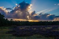 De grote stille heide
