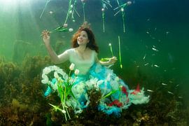 Tulpen aus den seeländischen Gewässern von Filip Staes