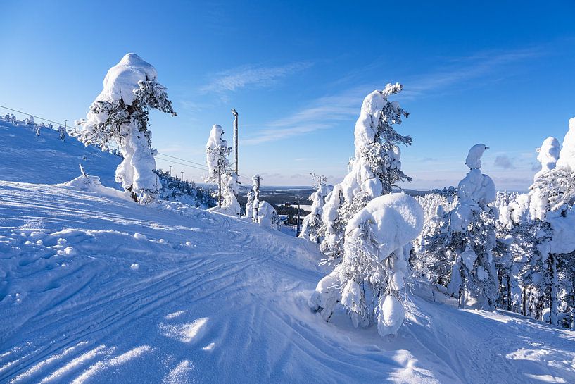 Landscape with snow in winter in Ruka, Finland by Rico Ködder