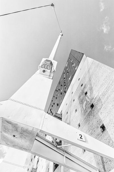 Elbphilharmonie van Michael Schulz-Dostal