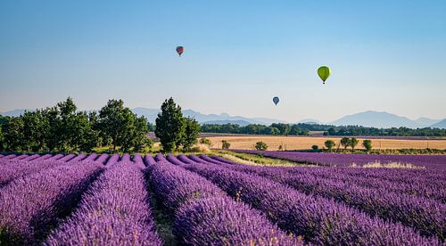 Landschaft in der Hochebene von Valensole