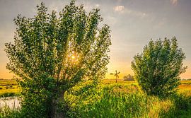 Hollands landschap met molen langs rivier de Meije, Utrecht, Nederland. van Jaap Bosma Fotografie