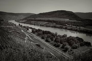 Vue sur la Moselle avec vignoble sur Ideasonthefloor