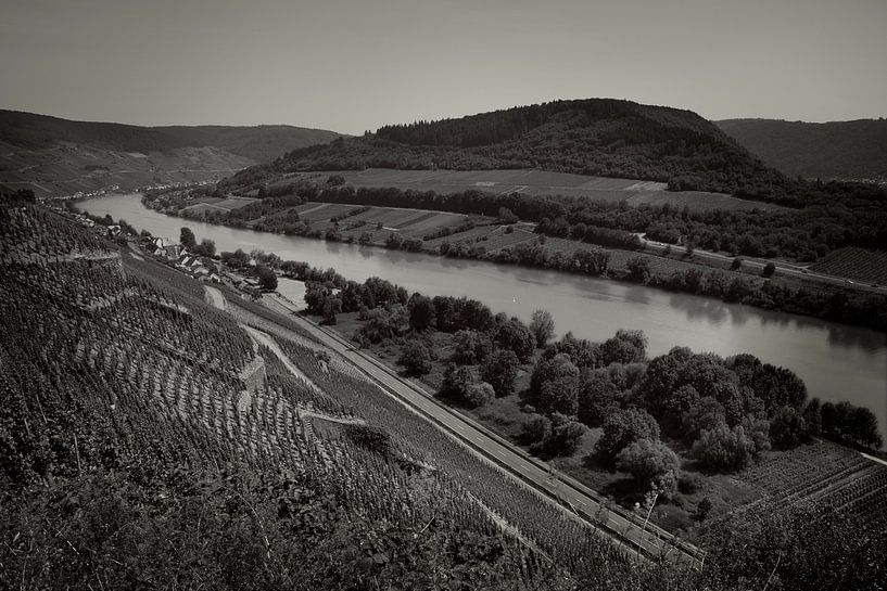 Vue sur la Moselle avec vignoble par Ideasonthefloor