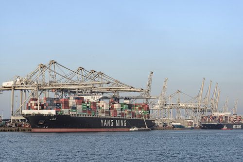 Container schip aangemeerd in de haven van Rotterdam op de Maasvlakte