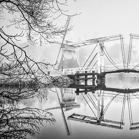 Bridge  van Erik de Boer