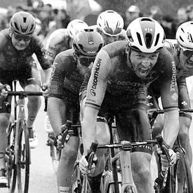 Oliver Naessens Tour of Flanders 2024 by FreddyFinn