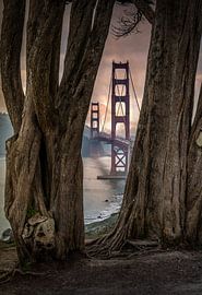 Golden Gate Bridge San Francisco von Mario Calma