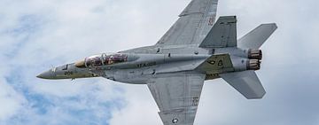 Flyby U.S. Navy F-18 Rhino Demo Team. van Jaap van den Berg