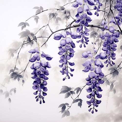Bloeiende wisteria in paarse tinten