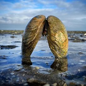 Madelon Breure Profilfoto