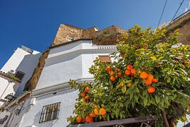 ESP, Spain, Setenil de las Bodegas, old town panorama in the ü by Christoph Hermann