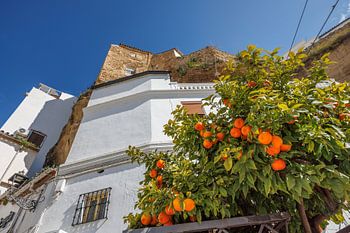 ESP, Spanien, Setenil de las Bodegas, Altstadtpanorama in den ü