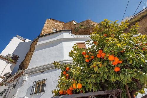 ESP, Spain, Setenil de las Bodegas, old town panorama in the ü
