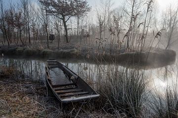 Winterstimmung im Grand Ried im Elsass von Tanja Voigt