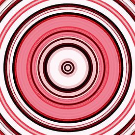 cirkels 2 van Kerstin Franz