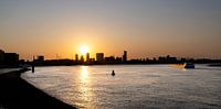 Rotterdam Silhouette