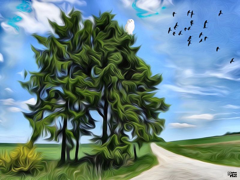 The life path by Norbert Hergl