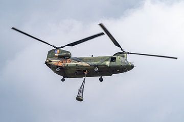 La Bête ! Le Boeing CH-47 Chinook des Forces aériennes royales néerlandaises, immatriculé D-666. sur Jaap van den Berg