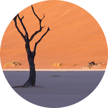 Dode boom in Dead Vlei, Namibië van Christel Nouwens- Lambers
