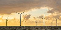 Windturbinen in einem Offshore-Windpark bei Sonnenuntergang