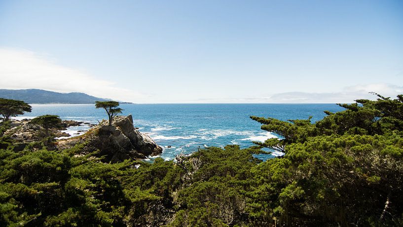 California Dreaming von Meneer Bos