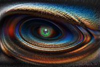Abstract oog