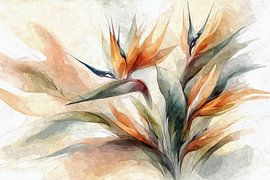 Strelitzia aux couleurs vives d'aquarelle - Oiseau de paradis