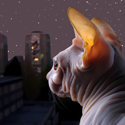 Sphynx kat kijkt uit over de stad bij nacht onder de sterrenhemel