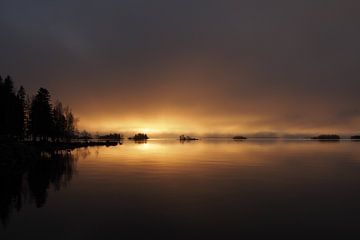 Fog sur Marjon van Vuuren