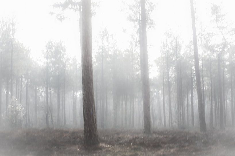 Trees in the fog  by Fotografie Jeronimo