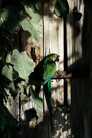 Colourful parrot in the shade by Poster Art Shop