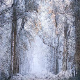 Winter wonderland van Astrid Broer