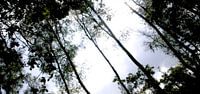 De Veluwe met al haar pracht
