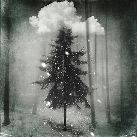 De uitverkorene - Surrealistisch winterbos in de sneeuw van Dirk Wüstenhagen