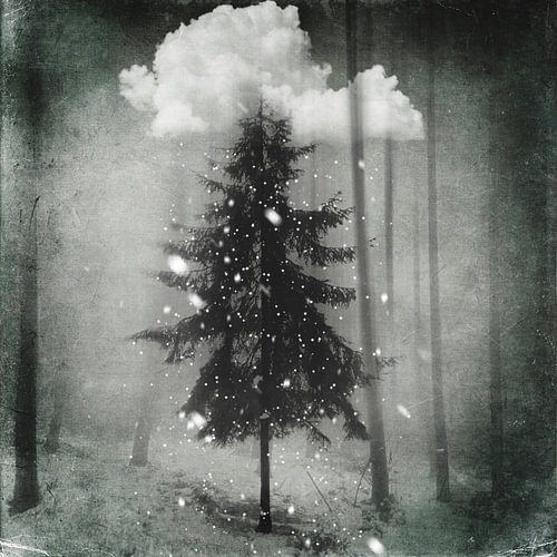 Die Auserwählte - Surrealer Winterwald im Schnee