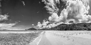 Tropischer Karibik Strand in schwarz-weiß