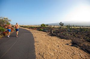 Hawaii - joggers